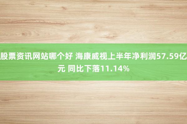 股票资讯网站哪个好 海康威视上半年净利润57.59亿元 同比下落11.14%