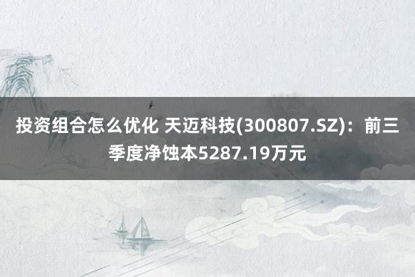 投资组合怎么优化 天迈科技(300807.SZ)：前三季度净蚀本5287.19万元