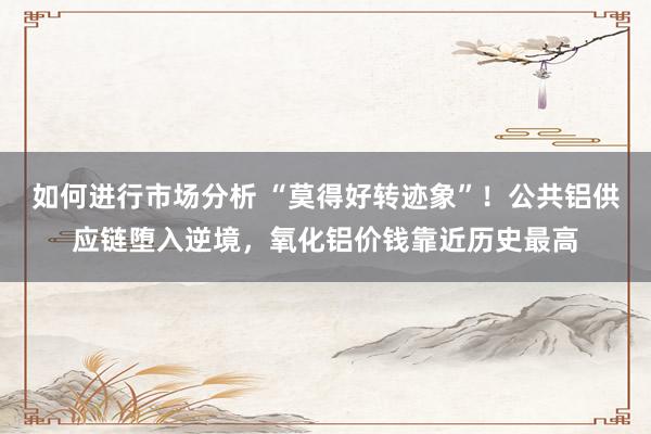 如何进行市场分析 “莫得好转迹象”！公共铝供应链堕入逆境，氧化铝价钱靠近历史最高