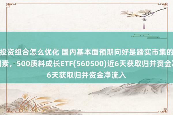 投资组合怎么优化 国内基本面预期向好是踏实市集的过失因素，500质料成长ETF(560500)近6天获取归并资金净流入