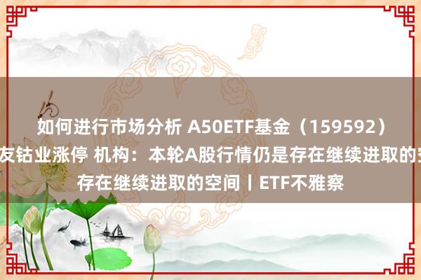 如何进行市场分析 A50ETF基金（159592）早盘交投活跃 华友钴业涨停 机构：本轮A股行情仍是存在继续进取的空间丨ETF不雅察