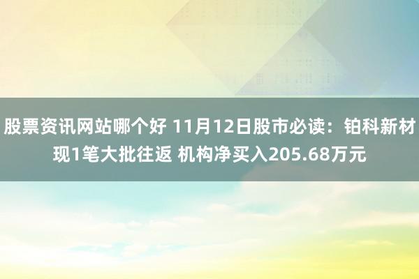 股票资讯网站哪个好 11月12日股市必读：铂科新材现1笔大批往返 机构净买入205.68万元