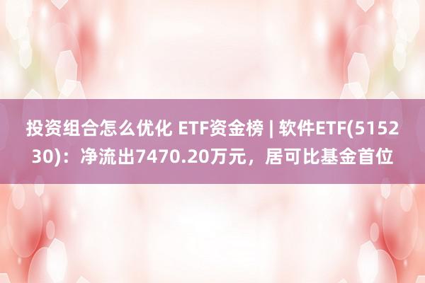 投资组合怎么优化 ETF资金榜 | 软件ETF(515230)：净流出7470.20万元，居可比基金首位