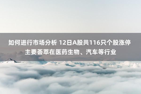 如何进行市场分析 12日A股共116只个股涨停 主要荟萃在医药生物、汽车等行业