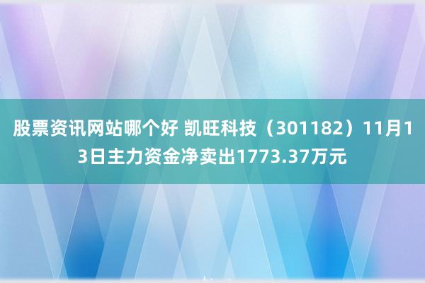 股票资讯网站哪个好 凯旺科技（301182）11月13日主力资金净卖出1773.37万元