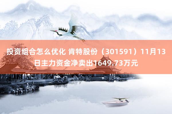 投资组合怎么优化 肯特股份（301591）11月13日主力资金净卖出1649.73万元