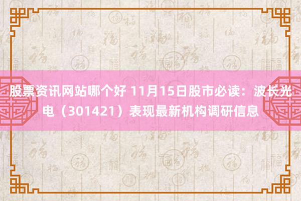 股票资讯网站哪个好 11月15日股市必读：波长光电（301421）表现最新机构调研信息