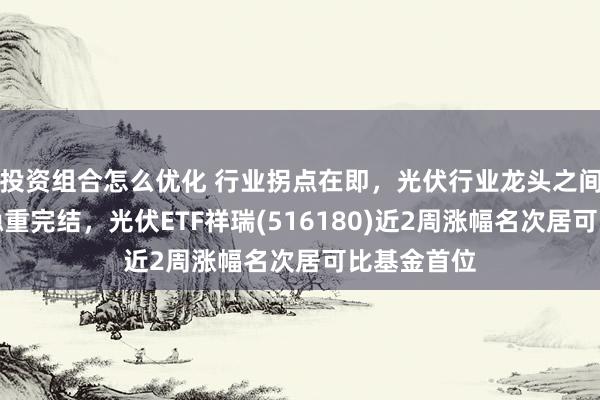 投资组合怎么优化 行业拐点在即，光伏行业龙头之间的共鸣正稳重完结，光伏ETF祥瑞(516180)近2周涨幅名次居可比基金首位