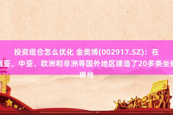 投资组合怎么优化 金奥博(002917.SZ)：在东南亚、中亚、欧洲和非洲等国外地区建造了20多条坐褥线