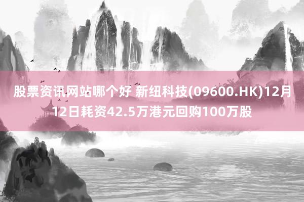 股票资讯网站哪个好 新纽科技(09600.HK)12月12日耗资42.5万港元回购100万股