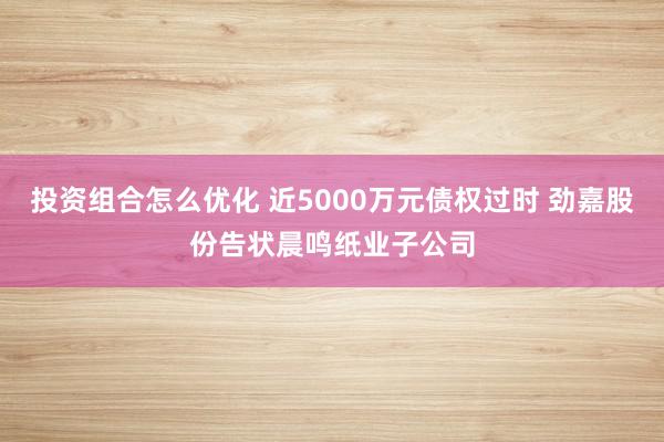 投资组合怎么优化 近5000万元债权过时 劲嘉股份告状晨鸣纸业子公司