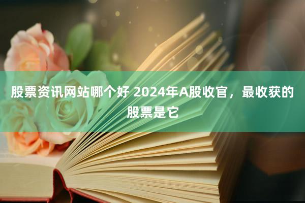 股票资讯网站哪个好 2024年A股收官，最收获的股票是它