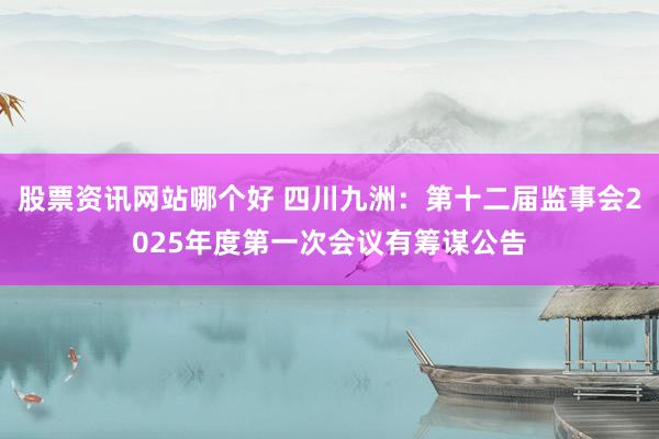 股票资讯网站哪个好 四川九洲：第十二届监事会2025年度第一次会议有筹谋公告