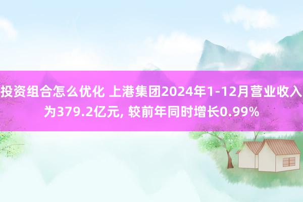 投资组合怎么优化 上港集团2024年1-12月营业收入为379.2亿元, 较前年同时增长0.99%