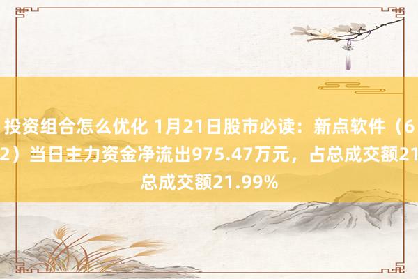 投资组合怎么优化 1月21日股市必读：新点软件（688232）当日主力资金净流出975.47万元，占总成交额21.99%