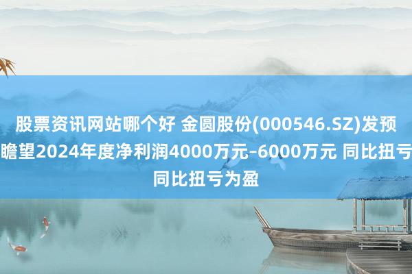 股票资讯网站哪个好 金圆股份(000546.SZ)发预盈，瞻望2024年度净利润4000万元–6000万元 同比扭亏为盈