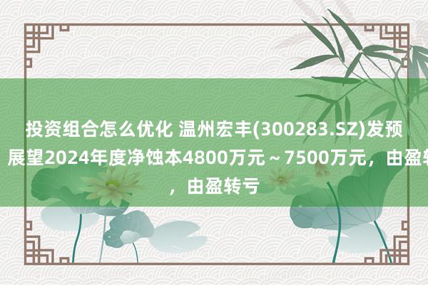 投资组合怎么优化 温州宏丰(300283.SZ)发预亏，展望2024年度净蚀本4800万元～7500万元，由盈转亏