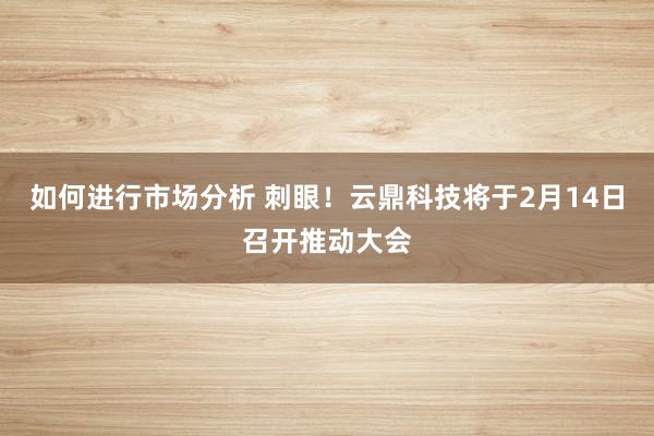 如何进行市场分析 刺眼！云鼎科技将于2月14日召开推动大会