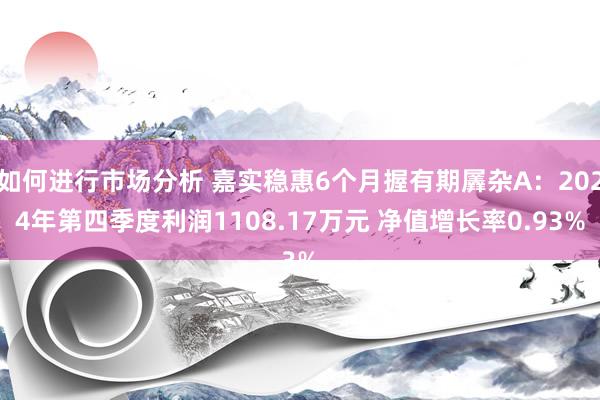 如何进行市场分析 嘉实稳惠6个月握有期羼杂A：2024年第四季度利润1108.17万元 净值增长率0.93%