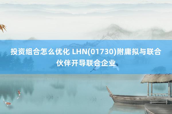 投资组合怎么优化 LHN(01730)附庸拟与联合伙伴开导联合企业