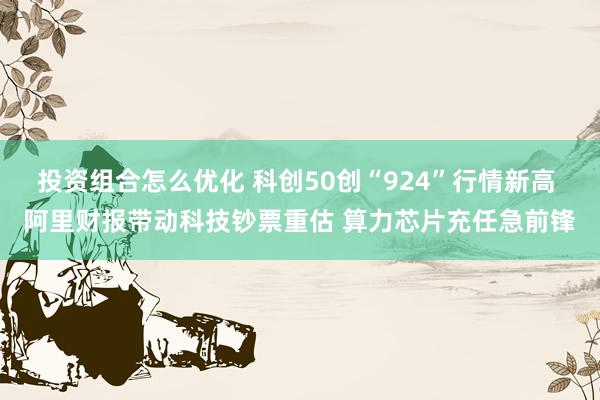 投资组合怎么优化 科创50创“924”行情新高 阿里财报带动科技钞票重估 算力芯片充任急前锋