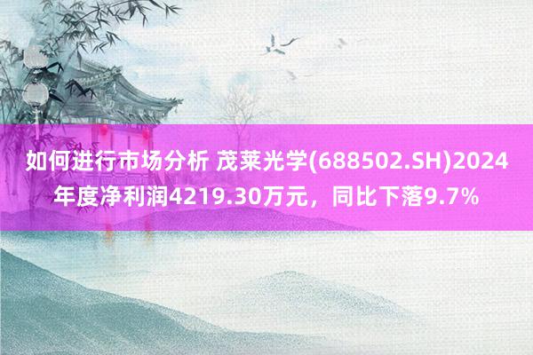 如何进行市场分析 茂莱光学(688502.SH)2024年度净利润4219.30万元，同比下落9.7%