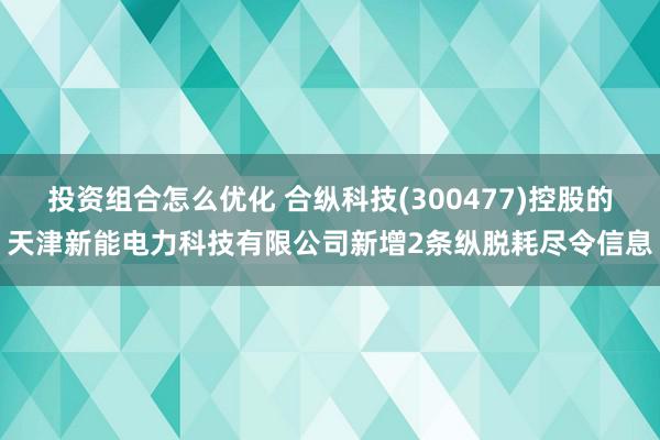 投资组合怎么优化 合纵科技(300477)控股的天津新能电力科技有限公司新增2条纵脱耗尽令信息