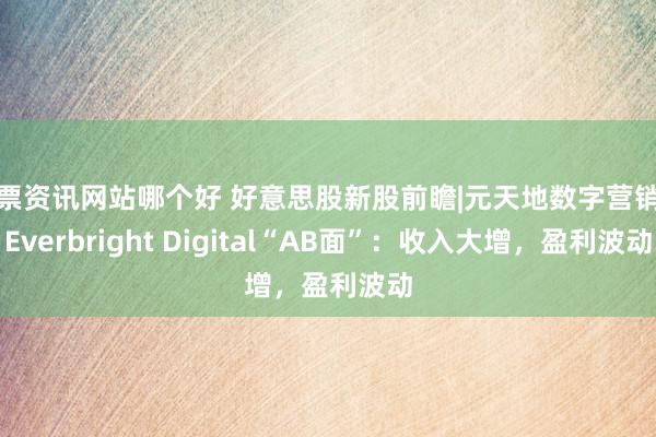 股票资讯网站哪个好 好意思股新股前瞻|元天地数字营销商Everbright Digital“AB面”：收入大增，盈利波动