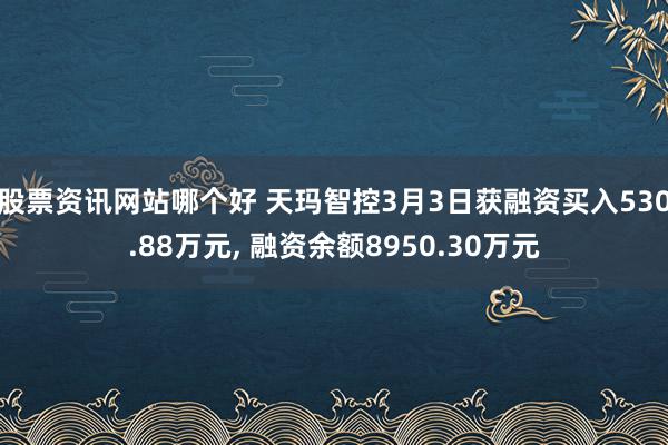 股票资讯网站哪个好 天玛智控3月3日获融资买入530.88万元, 融资余额8950.30万元