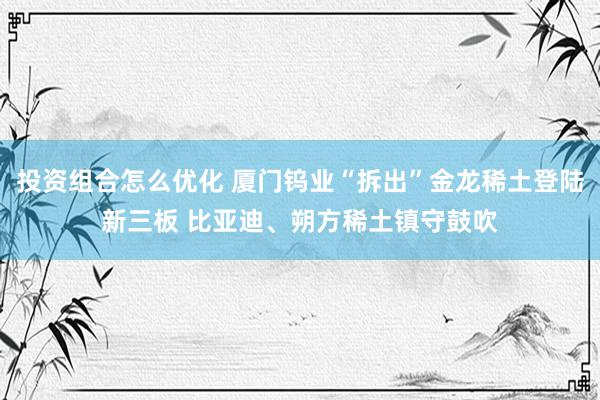 投资组合怎么优化 厦门钨业“拆出”金龙稀土登陆新三板 比亚迪、朔方稀土镇守鼓吹