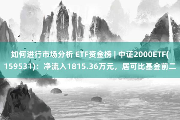 如何进行市场分析 ETF资金榜 | 中证2000ETF(159531)：净流入1815.36万元，居可比基金前二