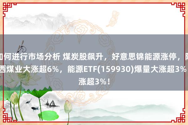 如何进行市场分析 煤炭股飙升，好意思锦能源涨停，陕西煤业大涨超6%，能源ETF(159930)爆量大涨超3%！