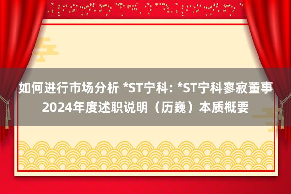 如何进行市场分析 *ST宁科: *ST宁科寥寂董事2024年度述职说明（历巍）本质概要