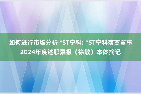 如何进行市场分析 *ST宁科: *ST宁科落寞董事2024年度述职禀报（徐敏）本体摘记